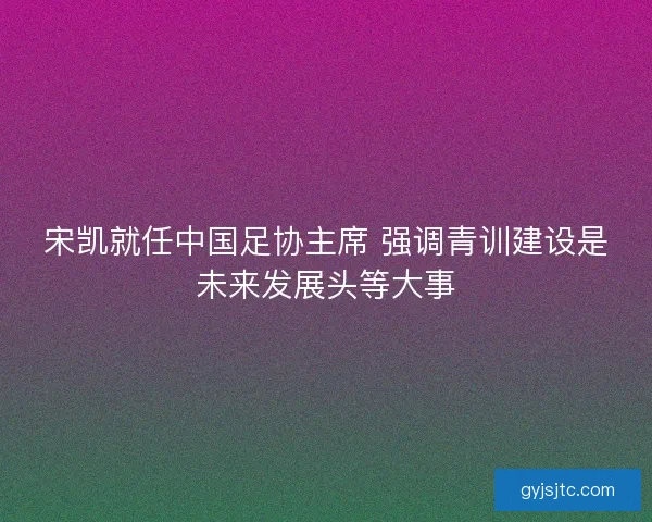 宋凯就任中国足协主席 强调青训建设是未来发展头等大事