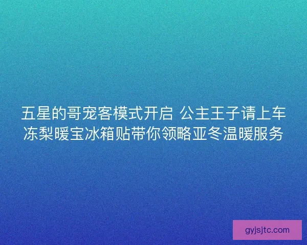 五星的哥宠客模式开启 公主王子请上车冻梨暖宝冰箱贴带你领略亚冬温暖服务